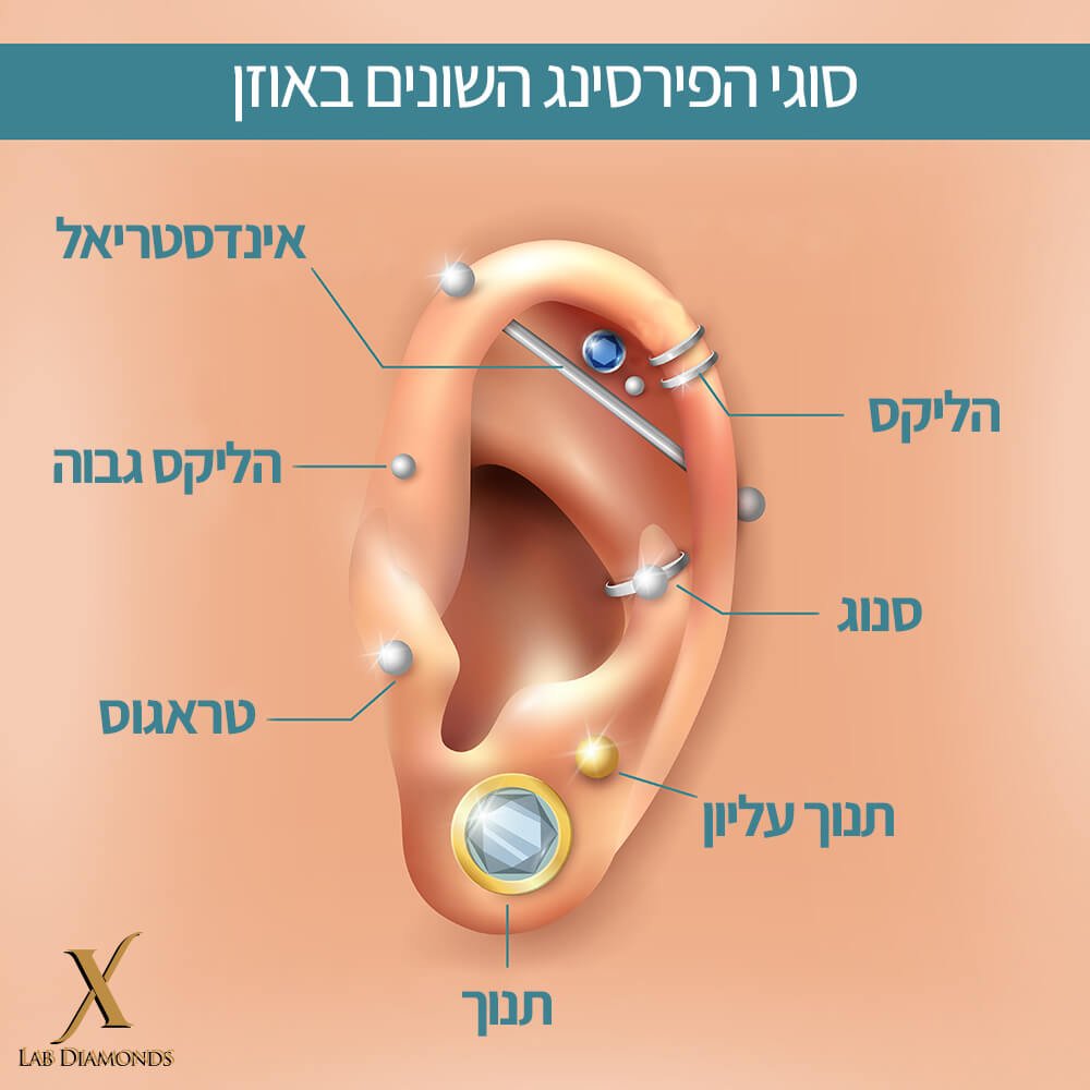 סוגים שונים של פירסינג באוזניים